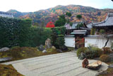 弘源寺 虎嘯の庭と紅葉の嵐山