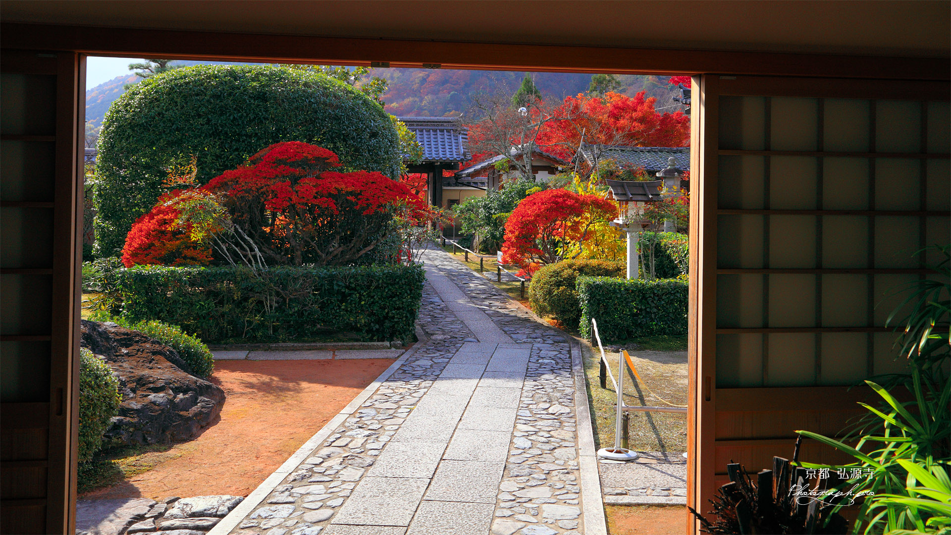 弘源寺 庫裏玄関から紅葉の参道