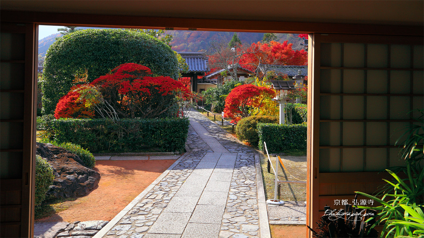 弘源寺 庫裏玄関から紅葉の参道 壁紙