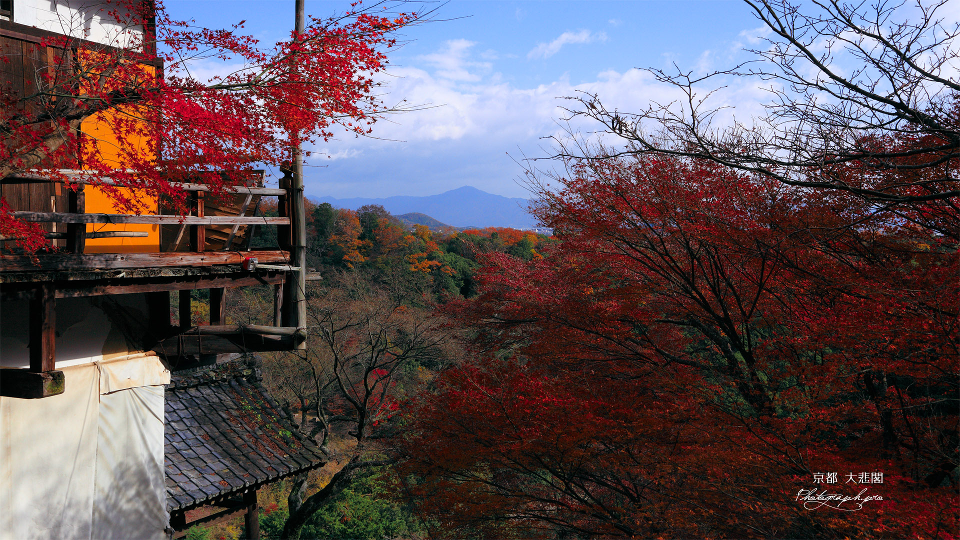 京都千光寺 紅葉の大悲閣と比叡山