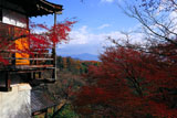 千光寺