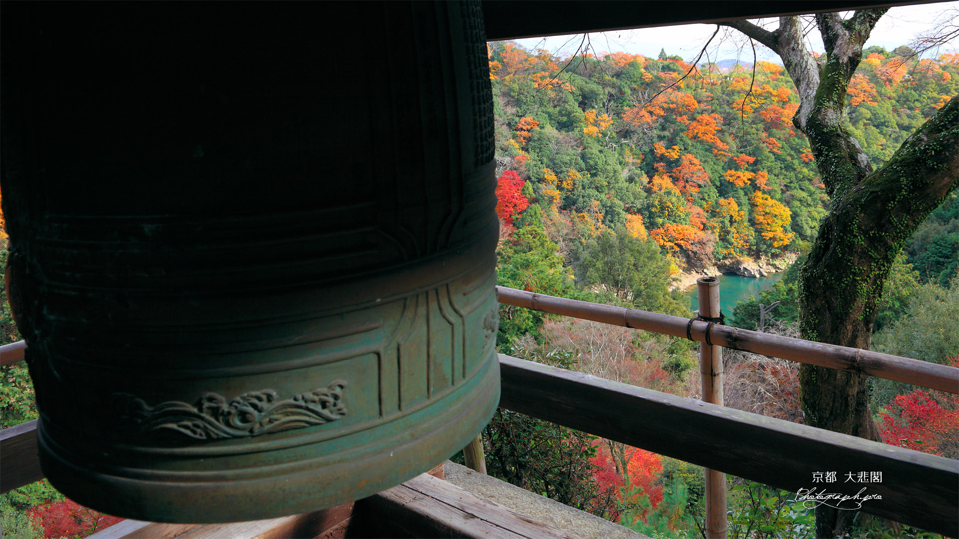 京都大悲閣千光寺 鐘楼と紅葉の保津川