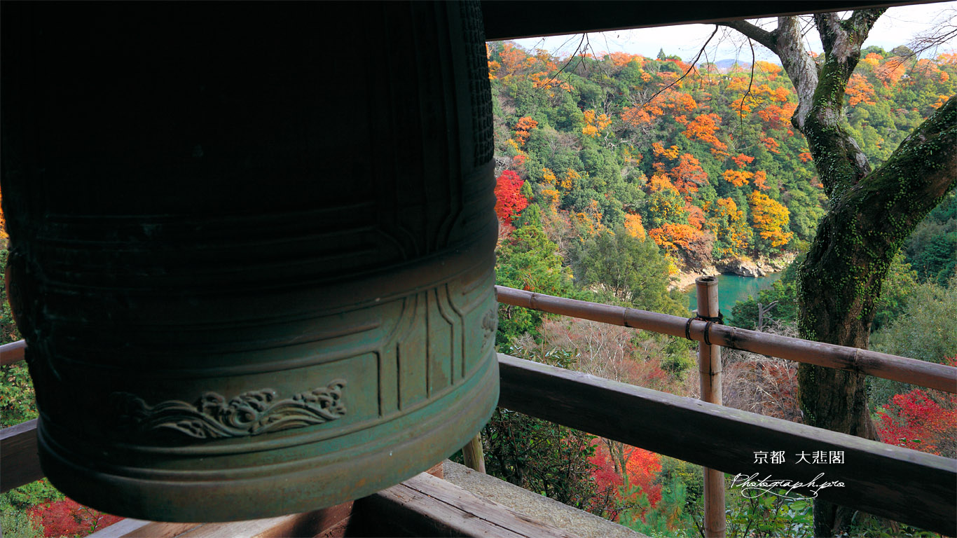 京都大悲閣千光寺 鐘楼と紅葉の保津川 壁紙