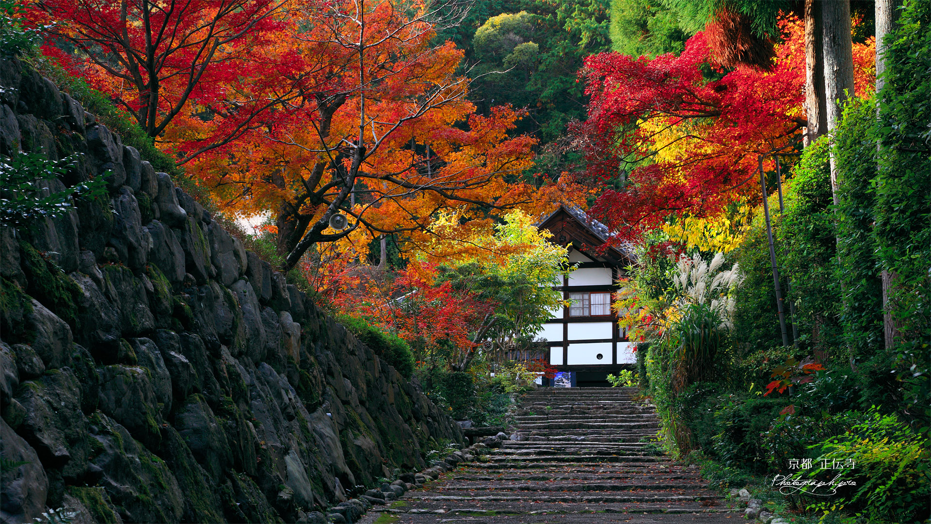 京都正伝寺 紅葉の参道と庫裏