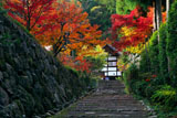 正伝寺
