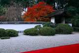 京都正伝寺 紅葉の庭園