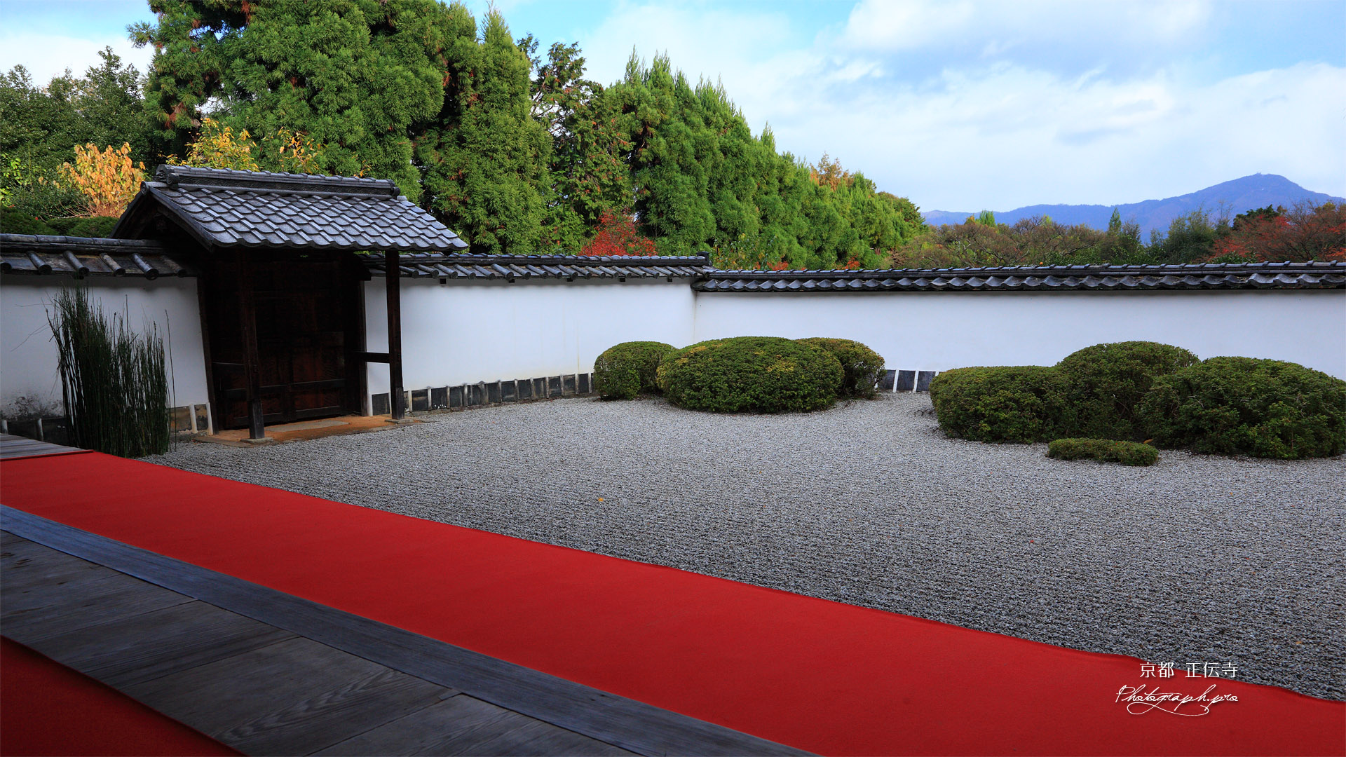 正伝寺庭園と比叡山