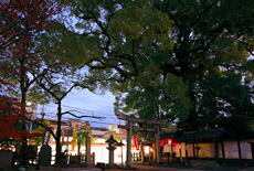 新熊野神社