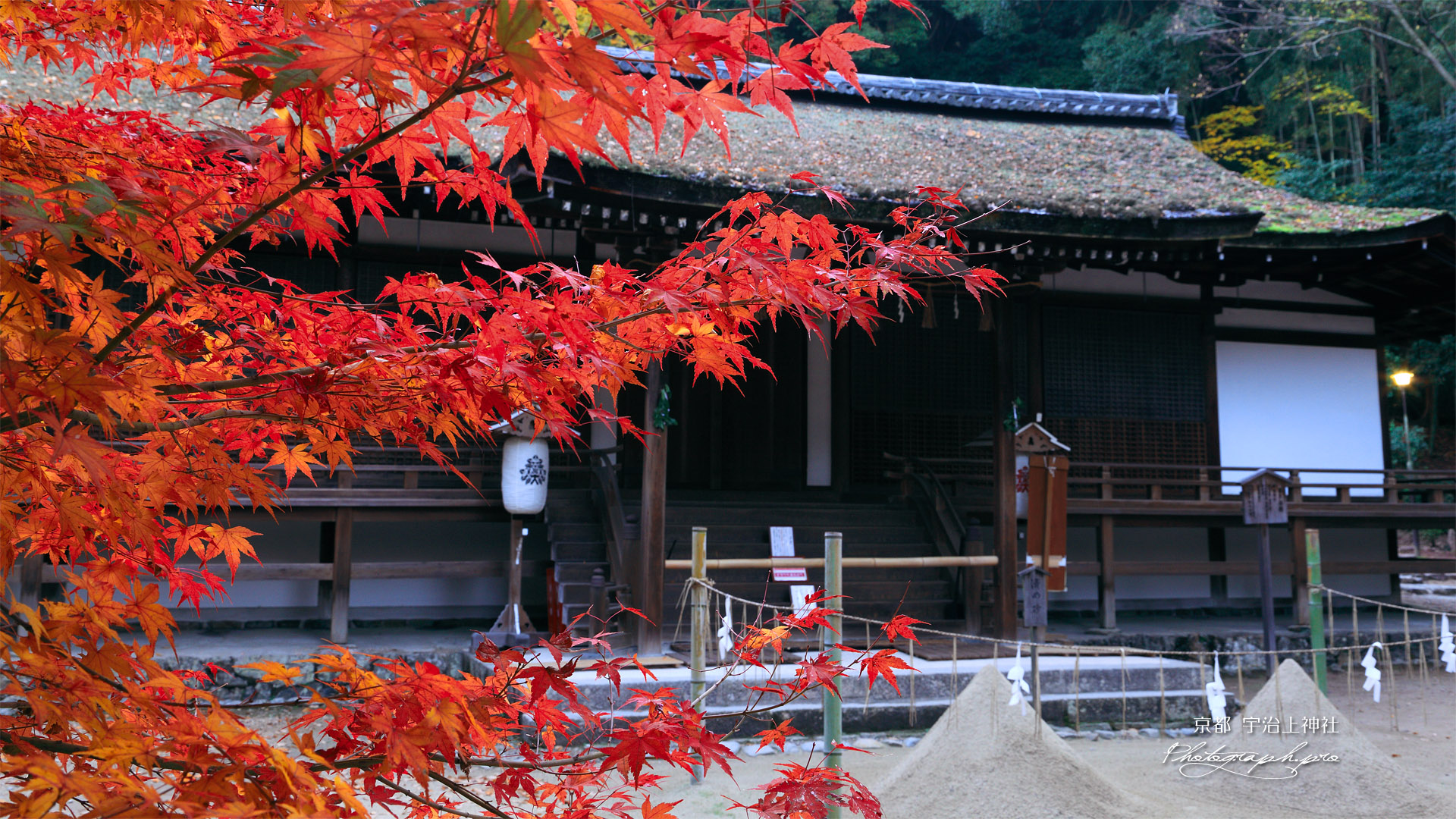 宇治上神社 紅葉と拝殿