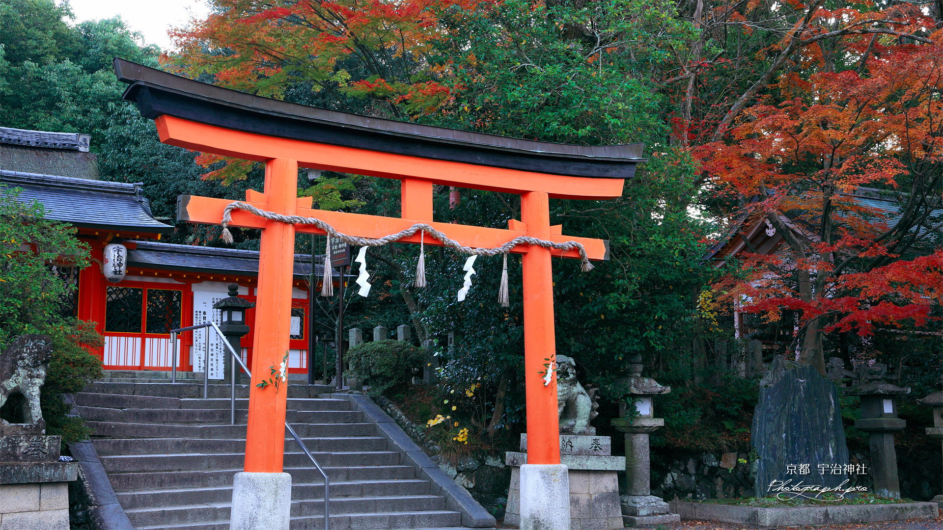 宇治神社 紅葉の境内