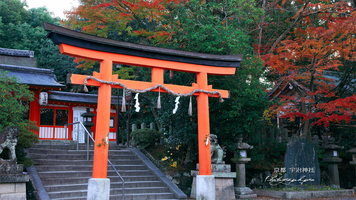 宇治神社 紅葉の境内 壁紙