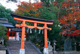 宇治神社 紅葉の境内