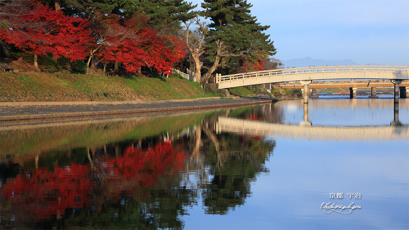 宇治 紅葉と橘橋 壁紙