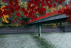 宇治神社