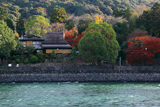宇治川の急流と紅葉