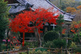 宇治 恵心院の紅葉と本堂