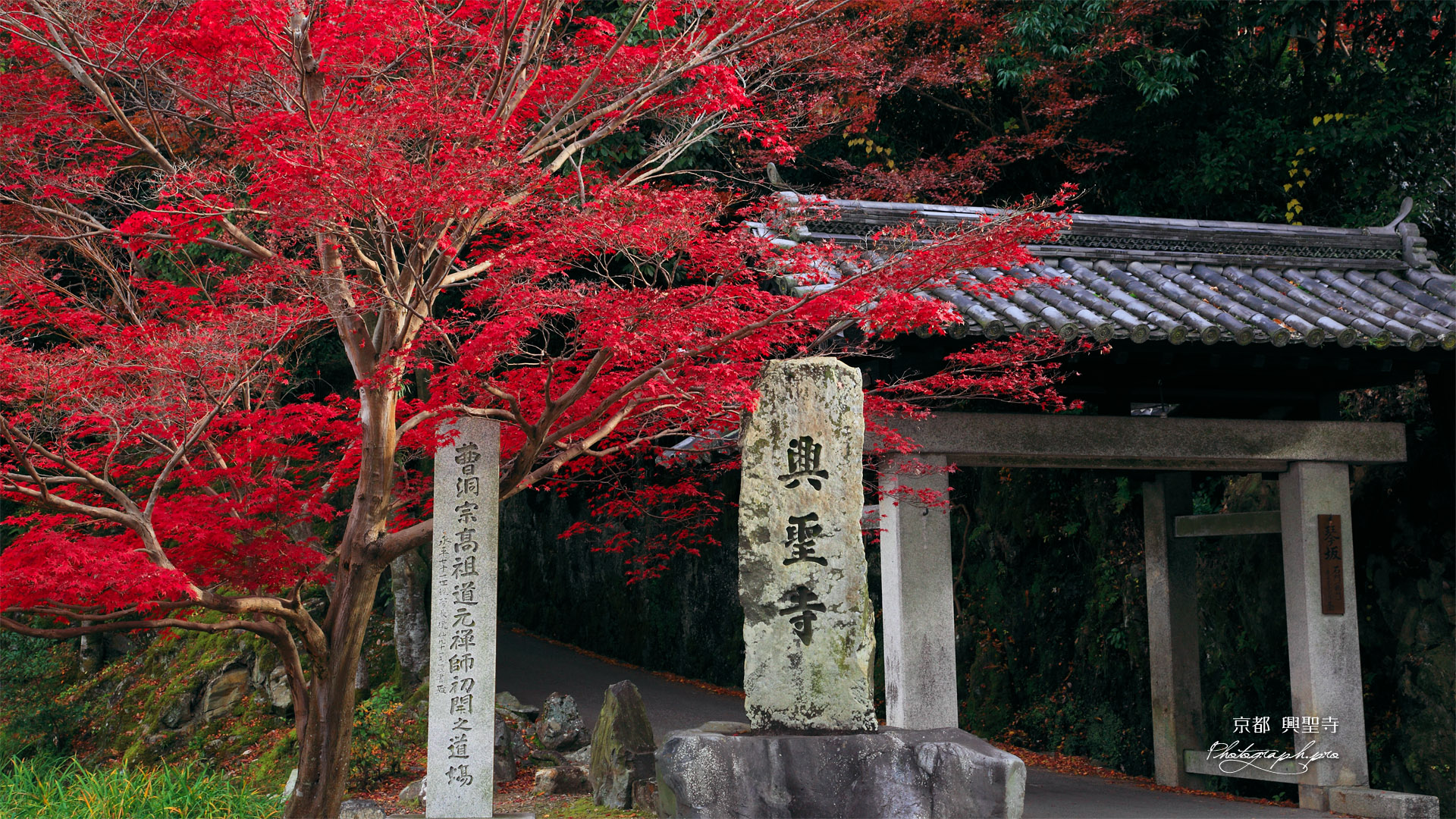 興聖寺 紅葉と総門
