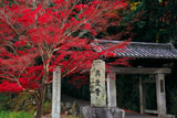 興聖寺 紅葉と総門