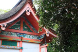 雙栗神社 サザンカと本殿