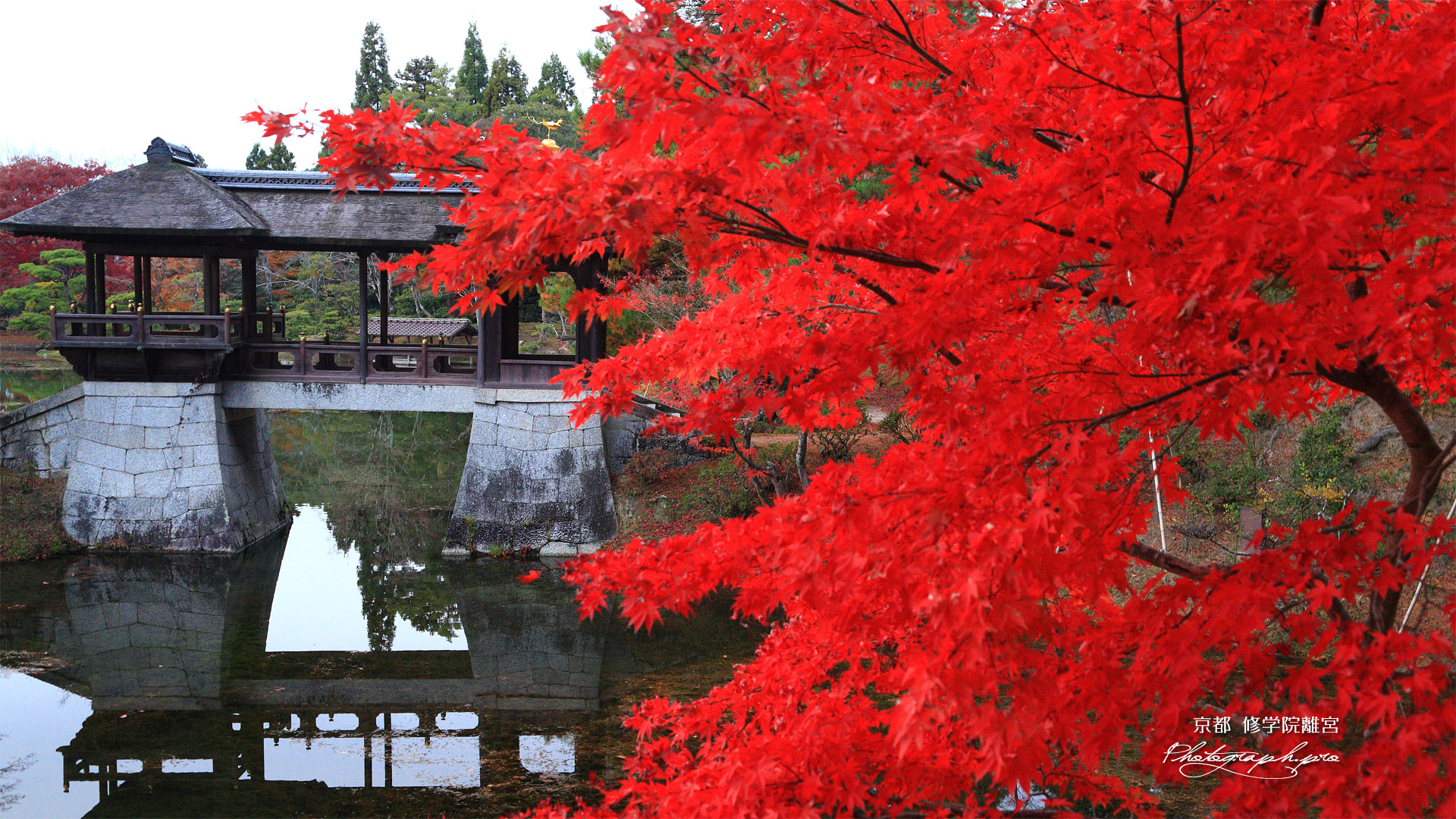 修学院離宮 紅葉と千歳橋