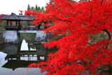 修学院離宮 紅葉と千歳橋