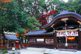 京都鷺森神社 拝殿と紅葉