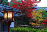 京都鷺森神社 燈籠と紅葉
