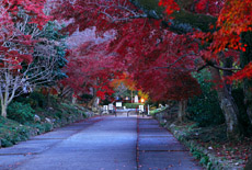 鷺森神社