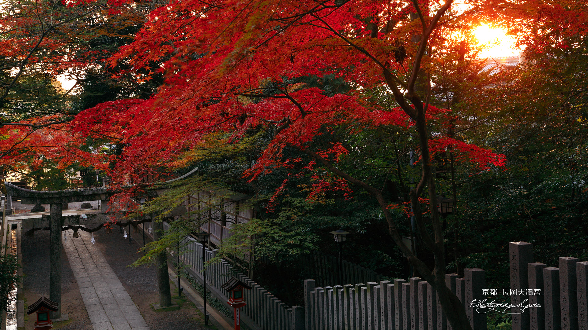 長岡天満宮 朝陽と参道の紅葉