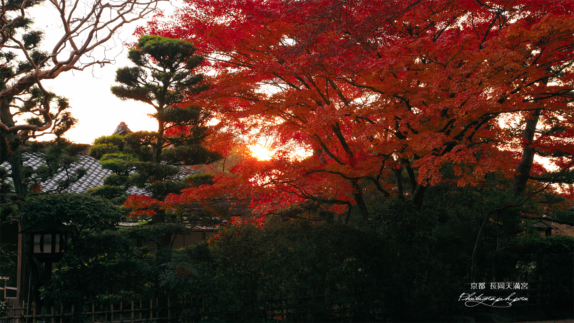 長岡天満宮 紅葉と錦水亭