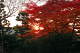 長岡天満宮 紅葉と錦水亭