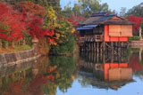 長岡天満宮 八条ケ池と錦水亭