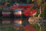 長岡天満宮 八条ケ池と紅葉の錦水亭