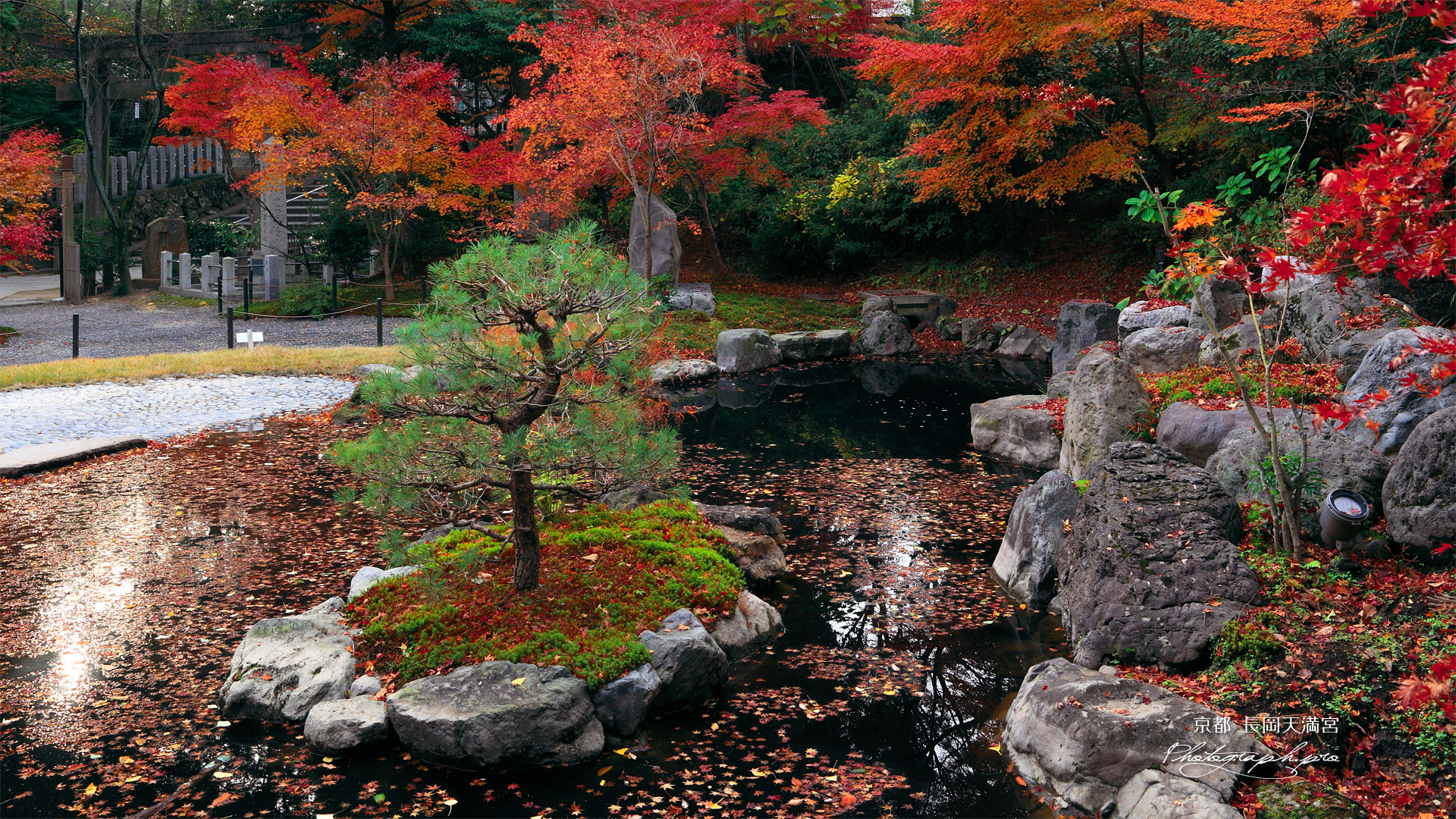 長岡天満宮 錦景苑の紅葉