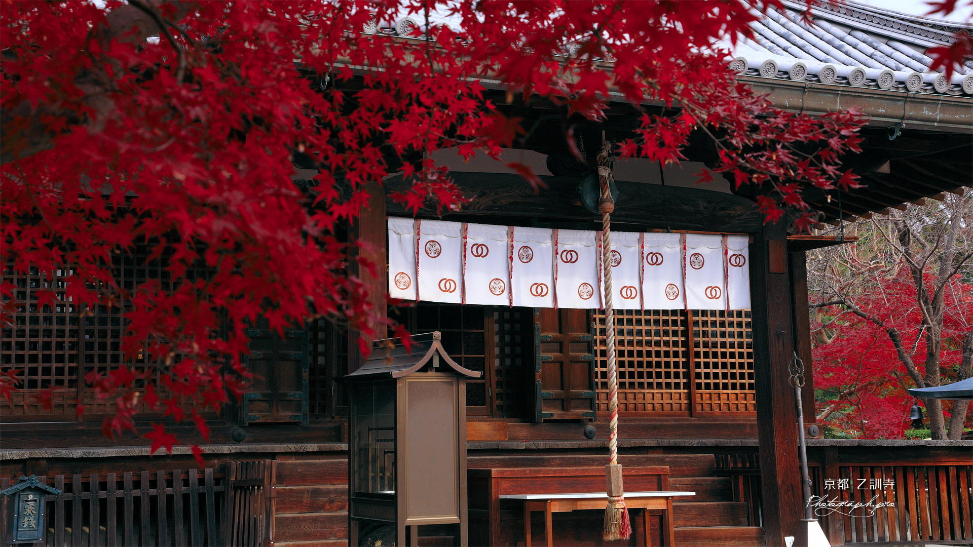 乙訓寺 紅葉と本堂