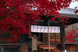 乙訓寺 紅葉と本堂