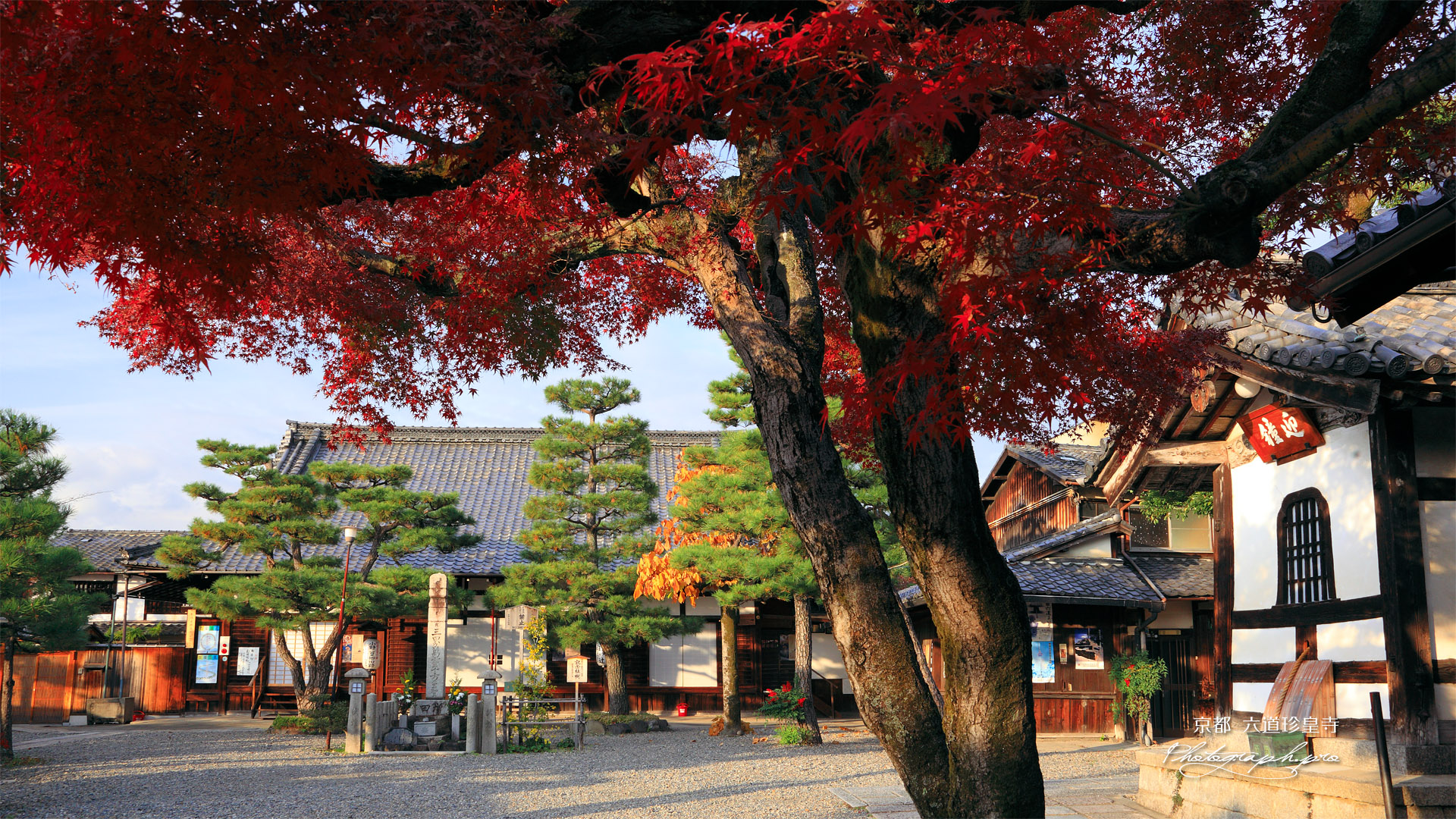 六道珍皇寺 紅葉の境内