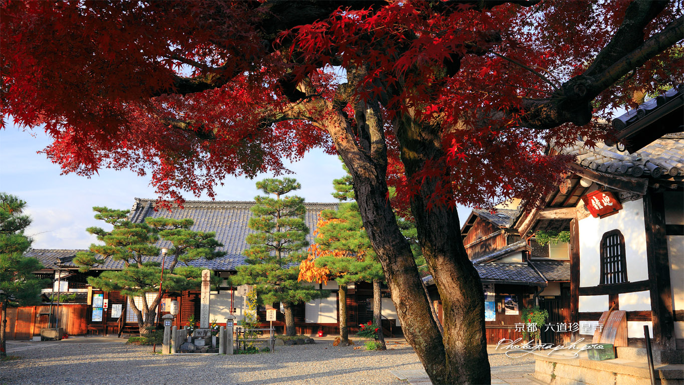 六道珍皇寺 紅葉の境内 壁紙