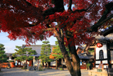 六道珍皇寺
