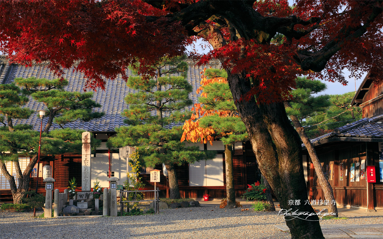 六道珍皇寺 紅葉と三界萬霊供養塔 壁紙
