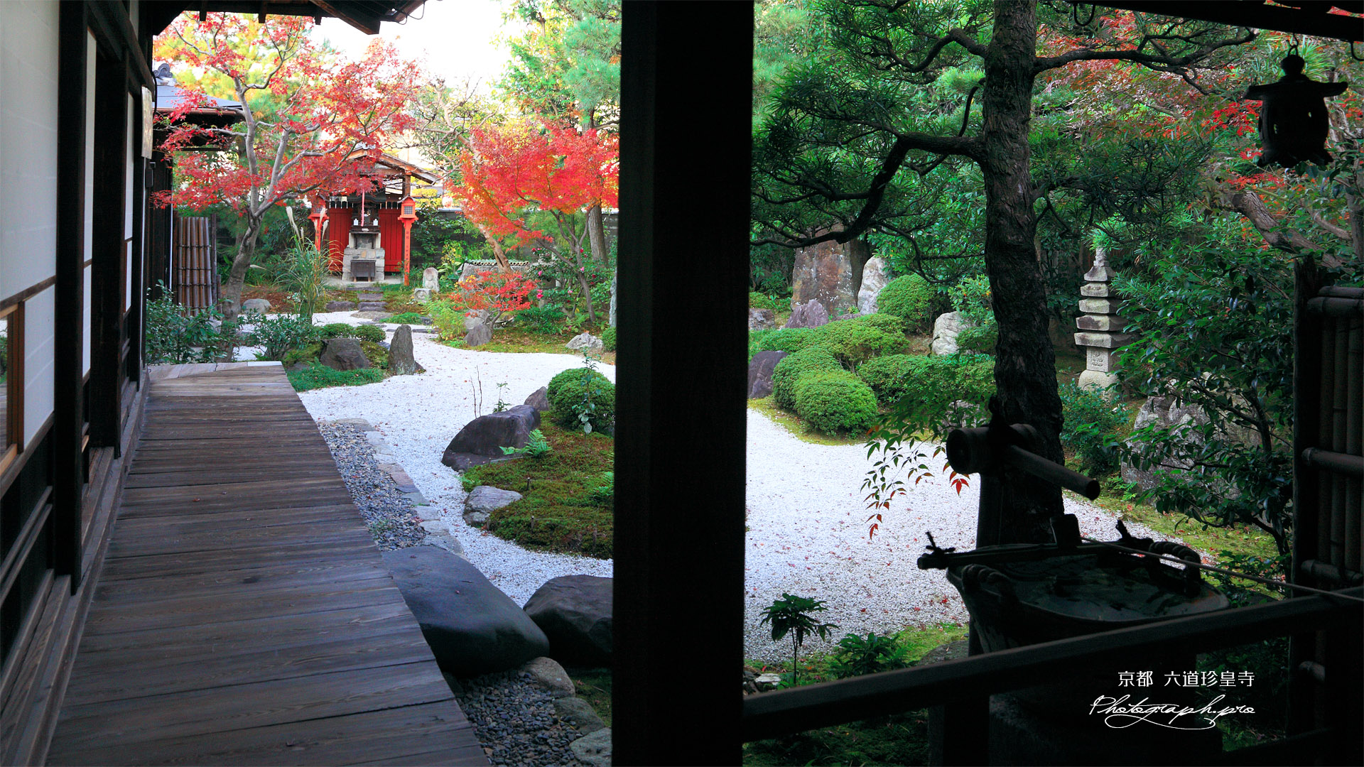 六道珍皇寺 紅葉の庭園