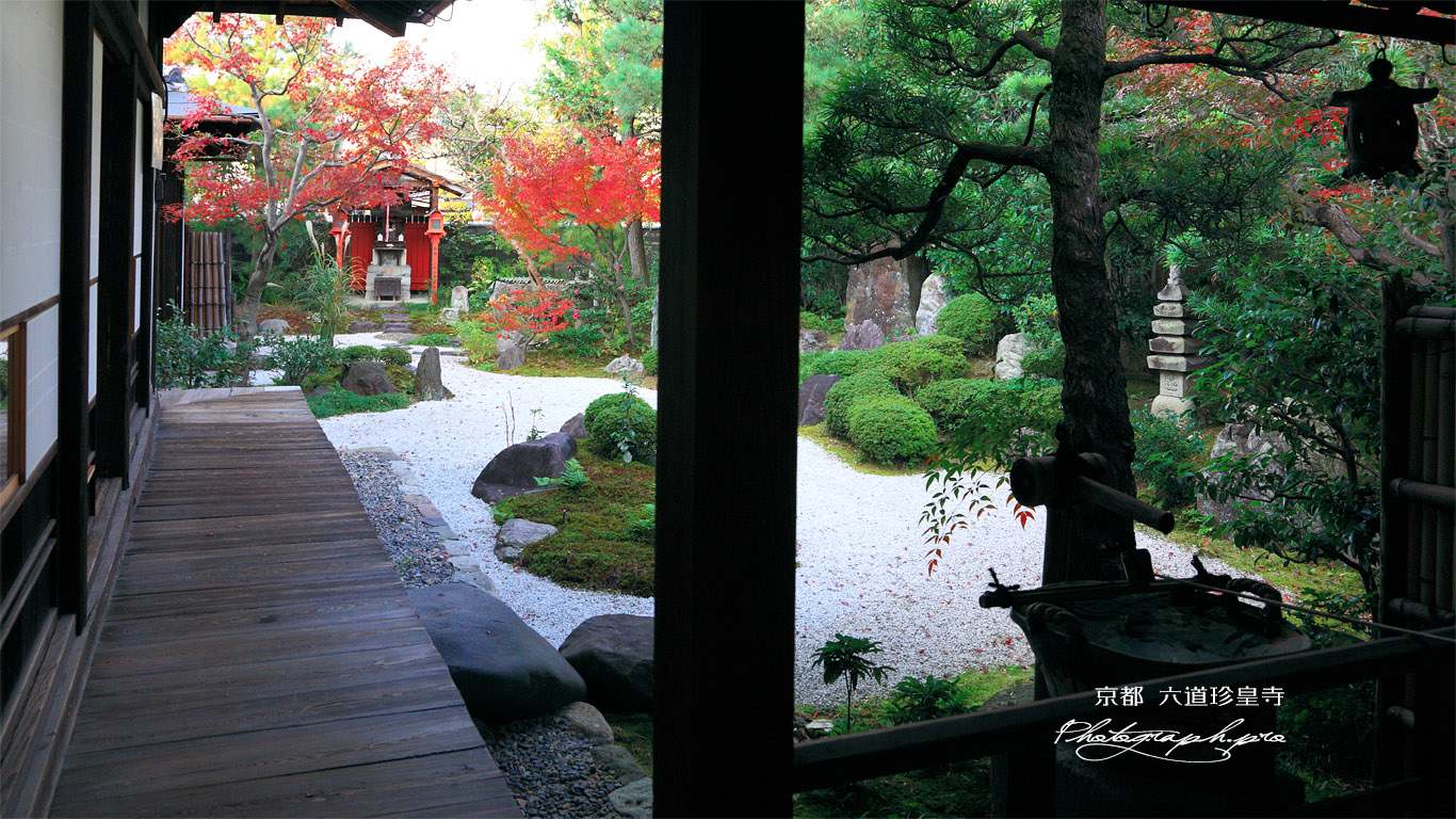 六道珍皇寺 紅葉の庭園 壁紙