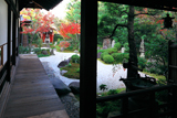 六道珍皇寺 紅葉の庭園