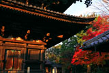 八坂の塔 五重塔と紅葉