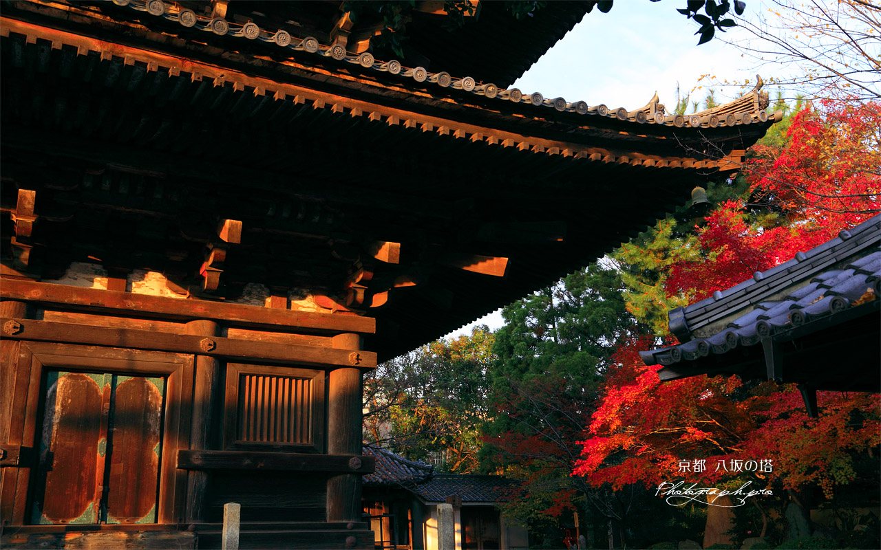 八坂の塔 五重塔と紅葉 壁紙
