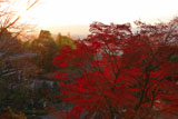 京都霊山護国神社 紅葉と霊山歴史館