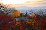 京都霊山護国神社