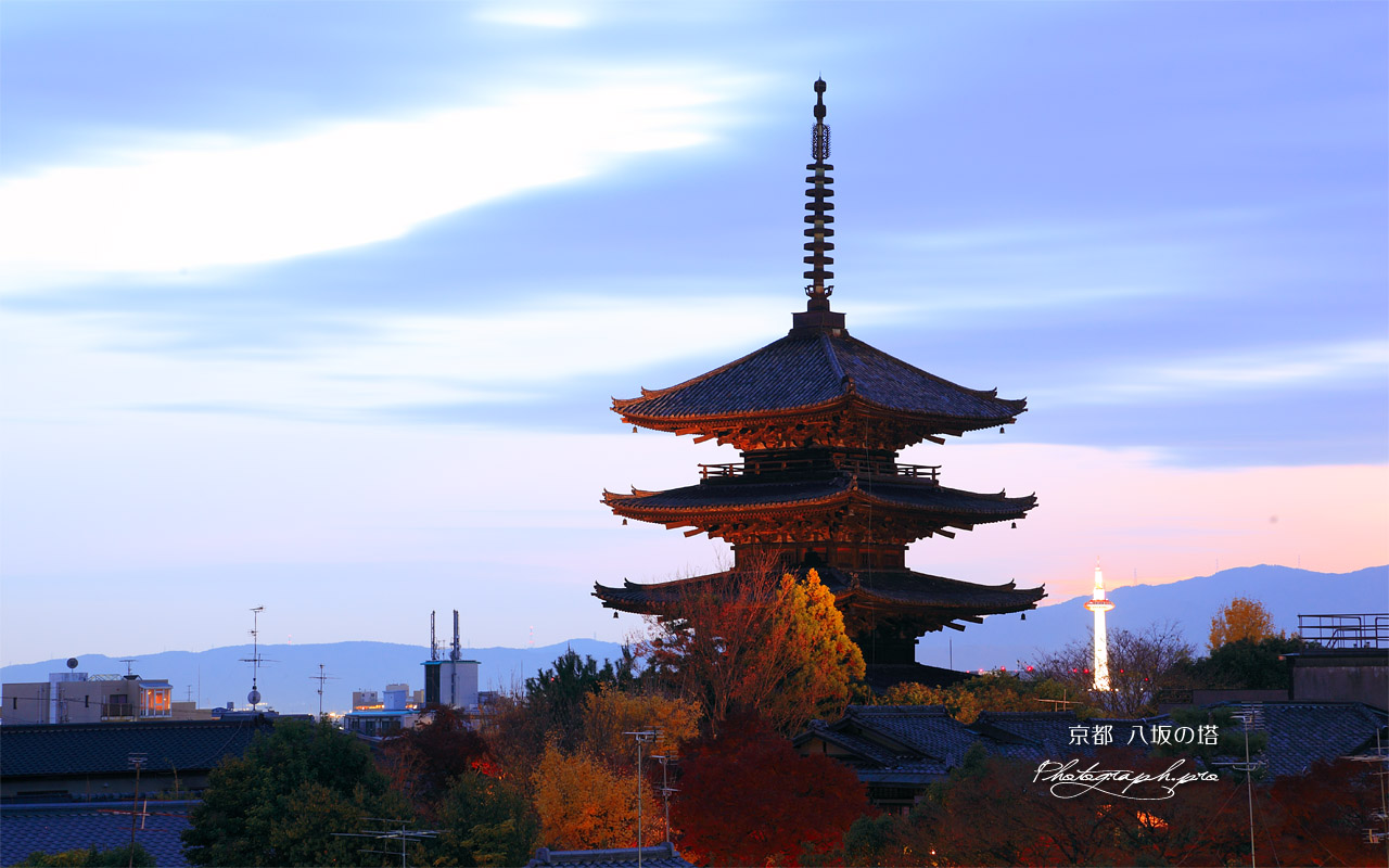 八坂の塔 紅葉とライトアップ 壁紙