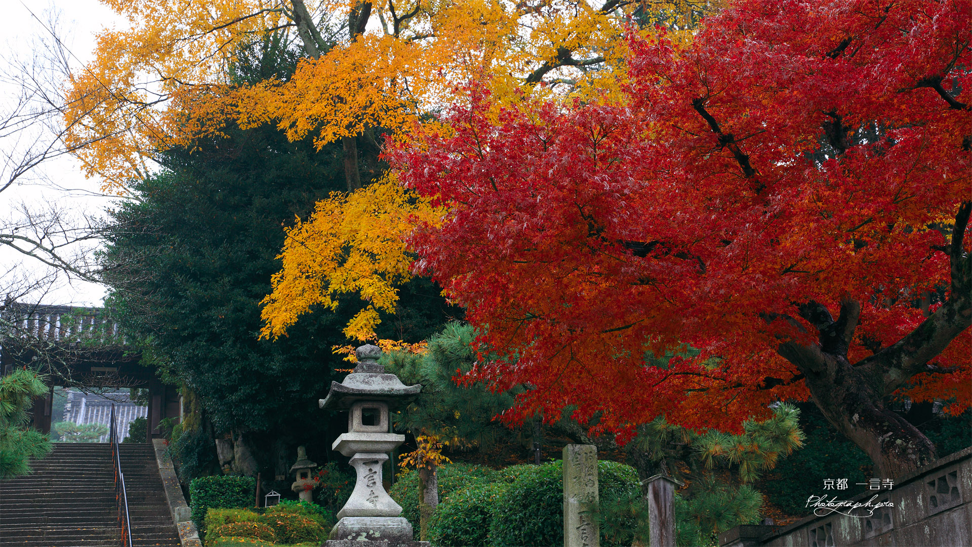 一言寺 紅葉と山門
