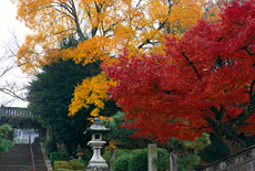 一言寺